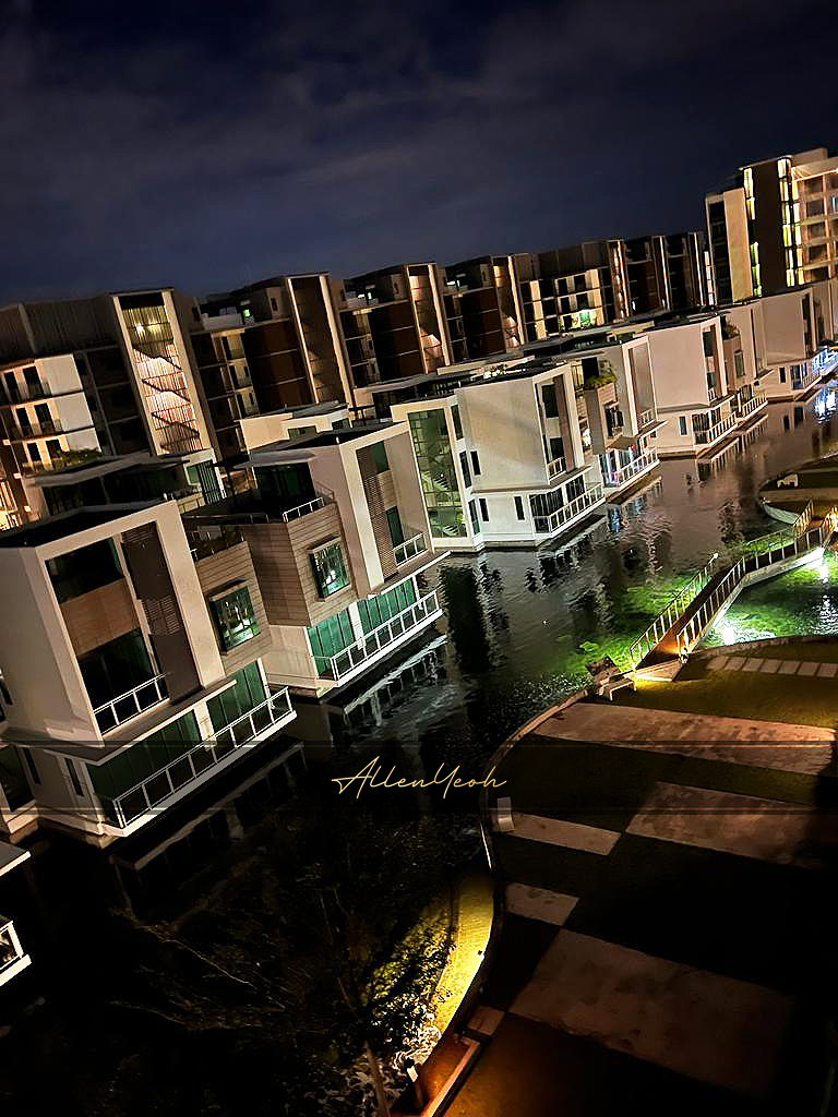 The Light Collection 1, Coral View Fully Reno - photo 7