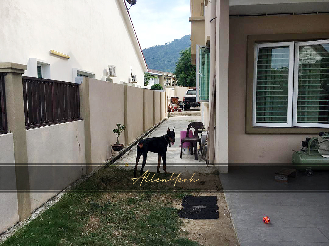 For Sale Bungalow 10 Lorong Delima 2 - photo 3