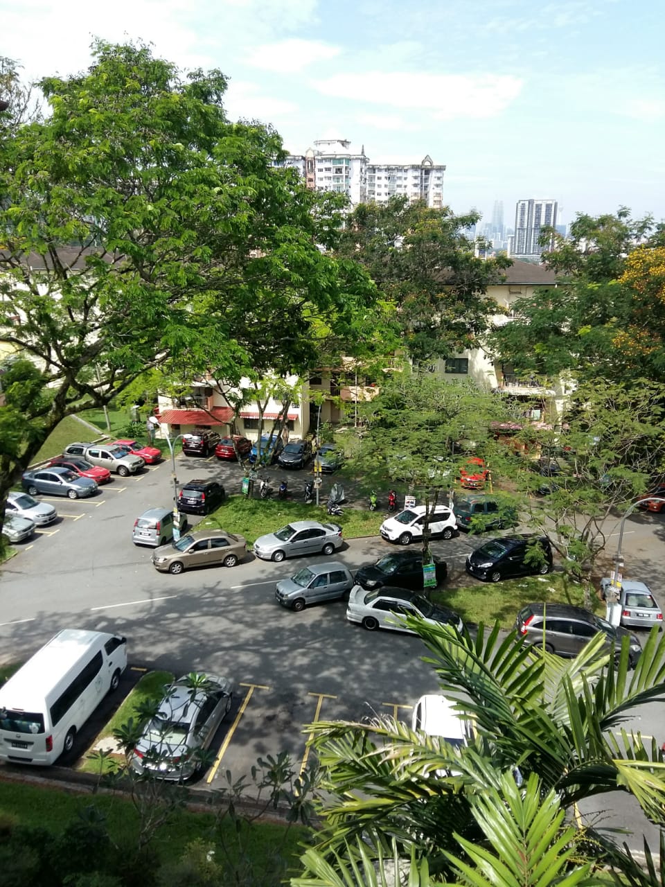 section 2 flat - photo 4