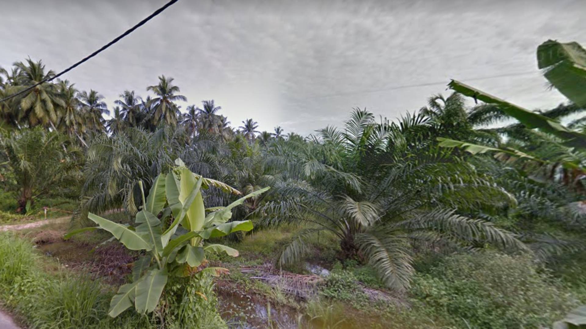 2 ACRES AGRICULTURE LAND AT BANTING - photo 2