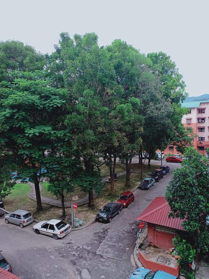 PANGSAPURI SRI MERANTI BANDAR SRI DAMANSARA - photo 13