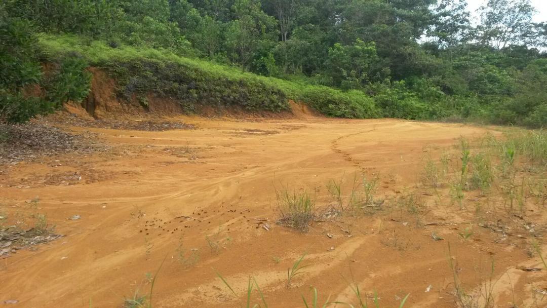 Tanah Banglot Sungai Merab Belakang Petronas - photo 8
