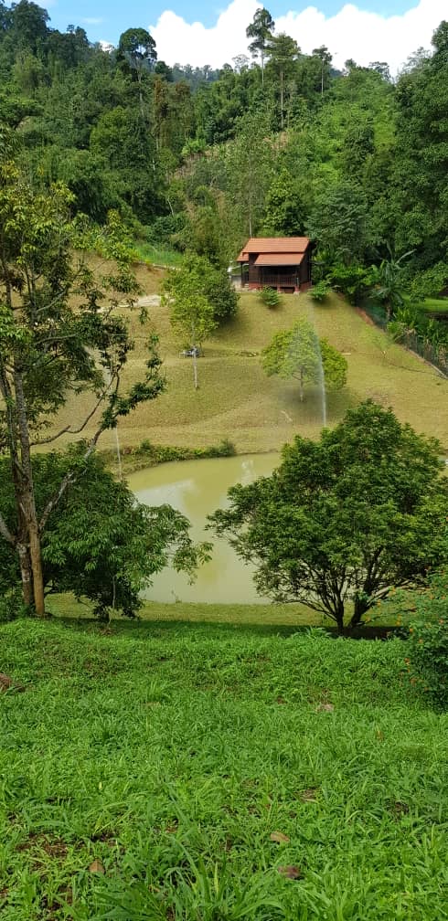 Land With Bunglow Lake and Waterfall - photo 2