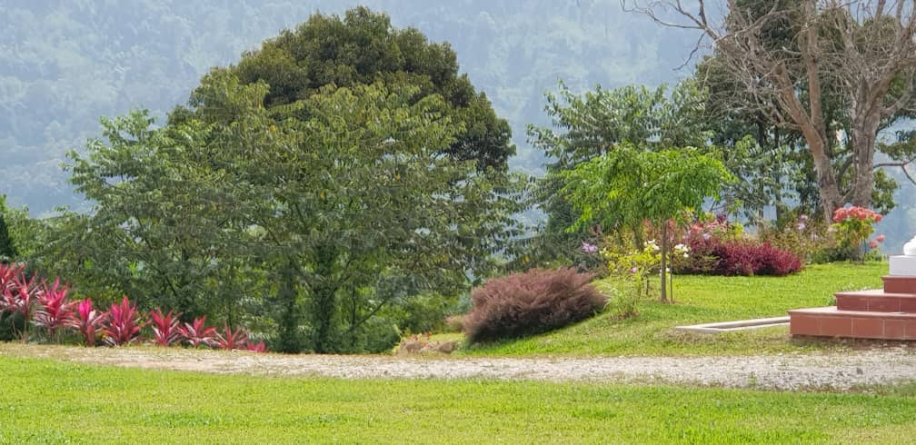 Land With Bunglow Lake and Waterfall - photo 3