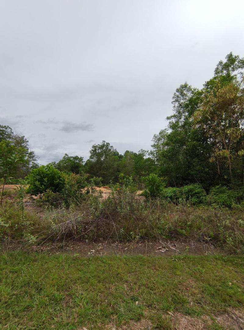 Bunglow Lot Bandar Tasik Kesuma - photo 2