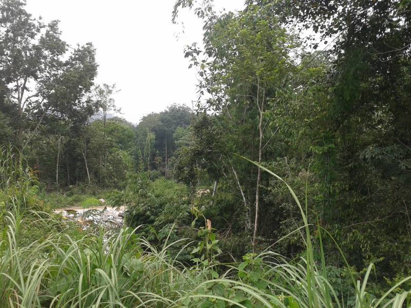 Gombak Sg Chinchin Argi Land 4sale 3Arce - photo 5