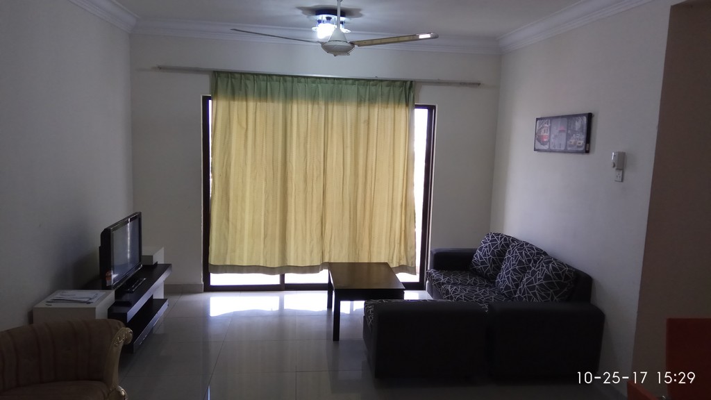 Paramount View Condo - photo 4