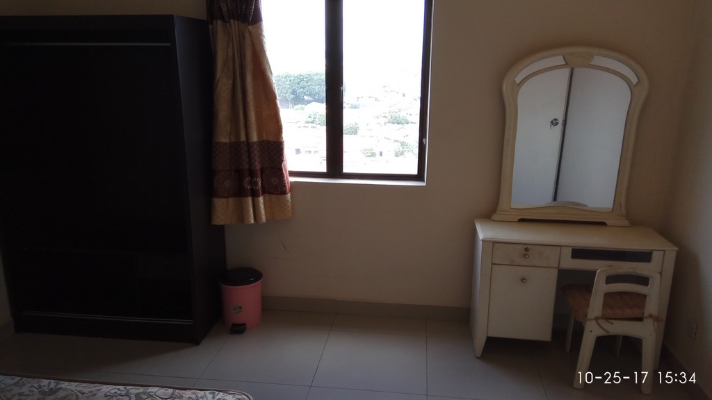 Paramount View Condo - photo 8