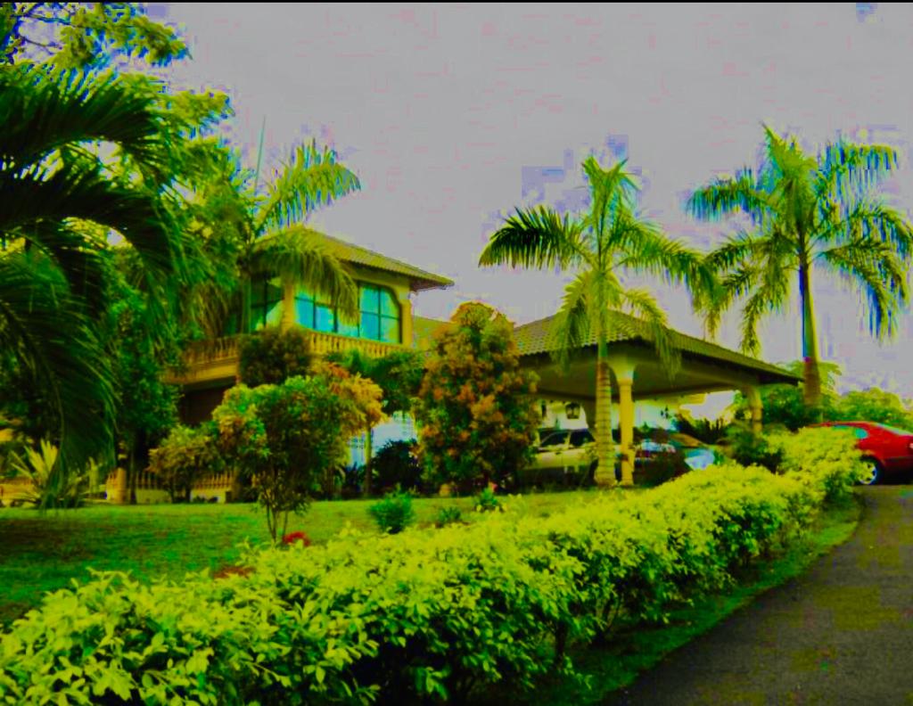 Bungalow and Land at ...
