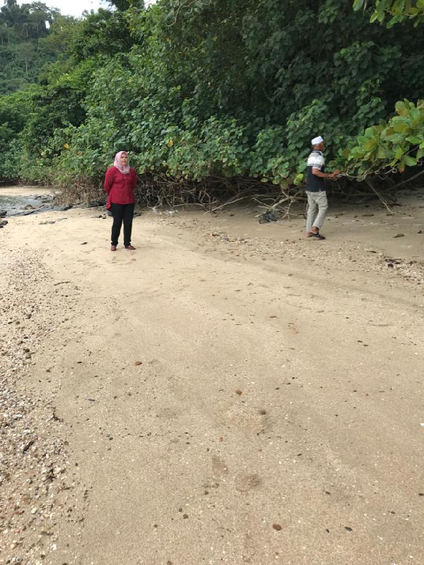 Tanah Pantai Pulau Tuba, Langkawi - photo 3