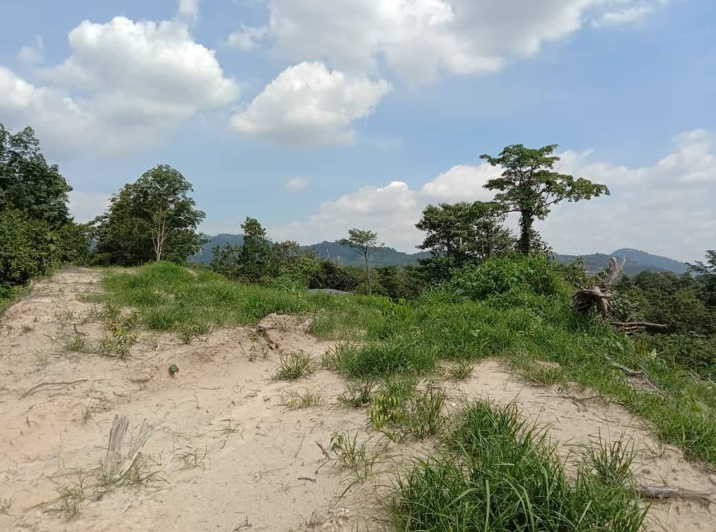Dusun Tua Hulu Langat Selangor Top View - photo 8