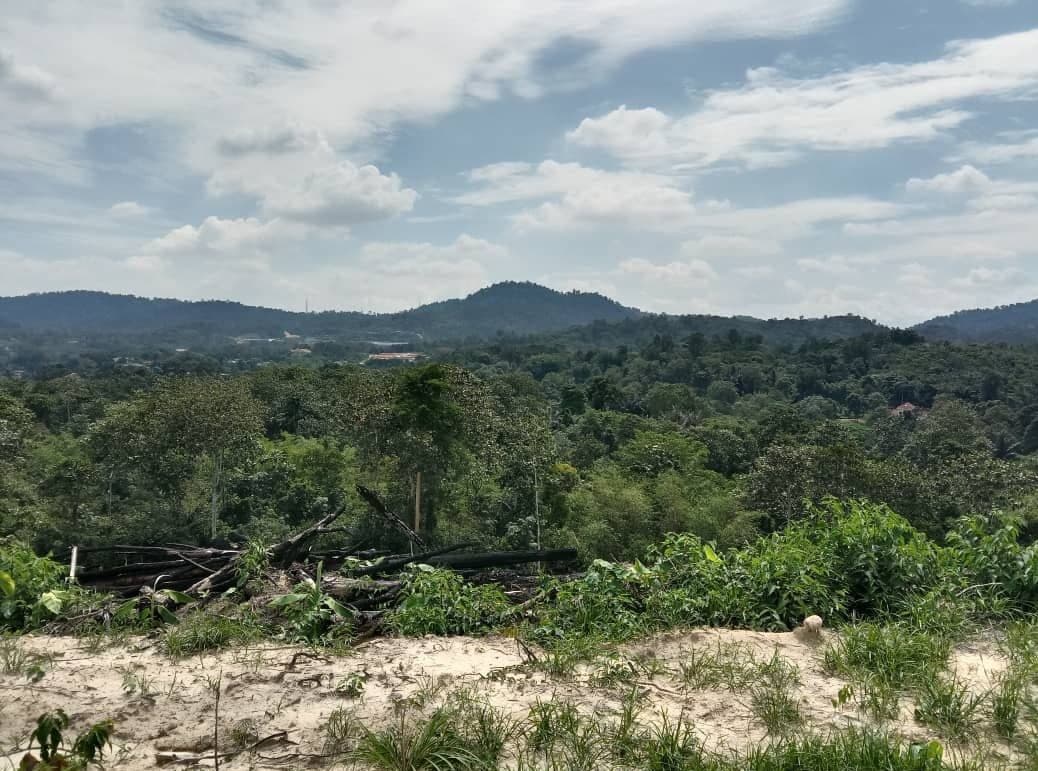 Dusun Tua Hulu Langat Selangor Top View - photo 9