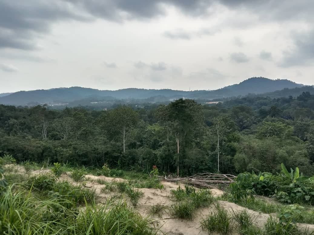 Dusun Tua Hulu Langat Selangor Top View - photo 10