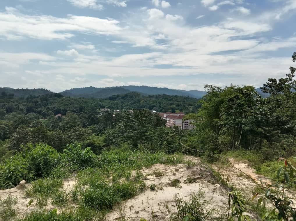 Dusun Tua Hulu Langat Selangor Top View - photo 12