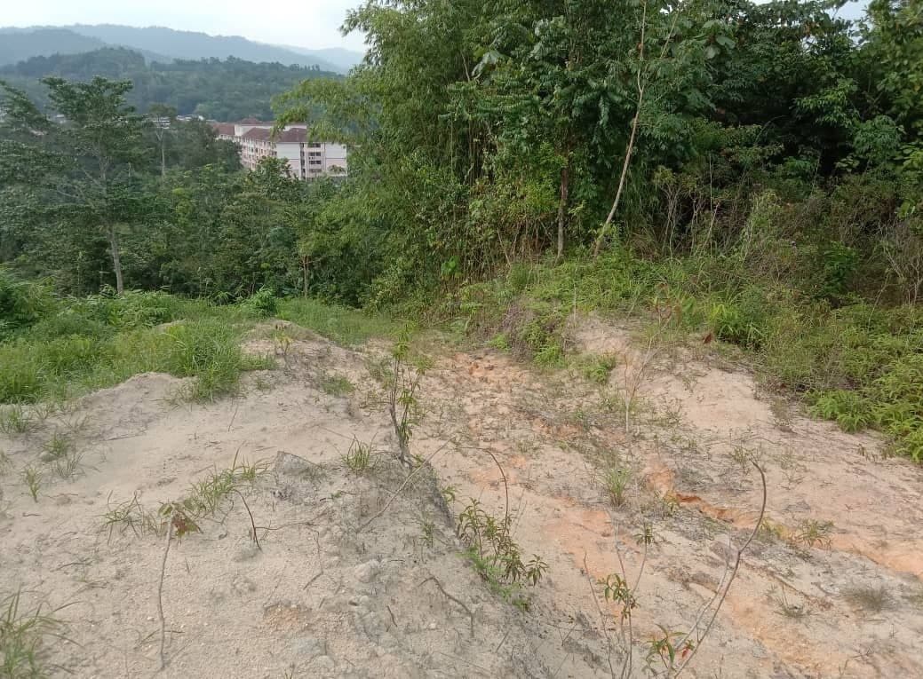 Dusun Tua Hulu Langat Selangor Top View - photo 13