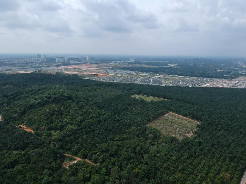 Tanah Pertanian Jenderam Hulu Sepang - photo 6