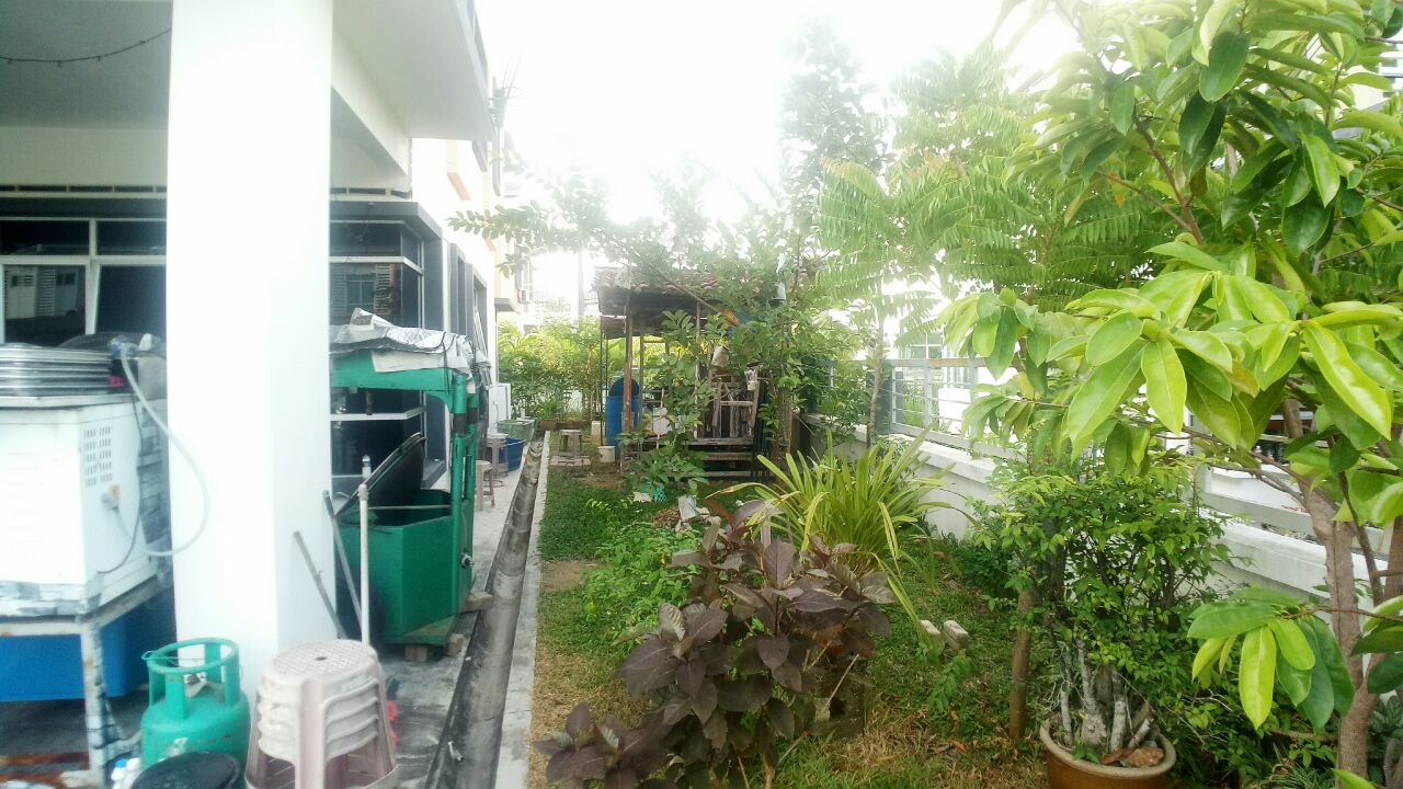 2 STOREY TERRACE END LOT PINE 1 HILLPARK - photo 4