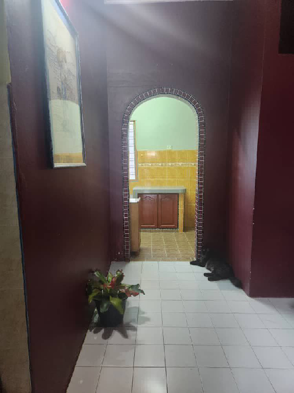TERES SETINGKAT TEMERLOH JAYA UNTUK DIJUAL - photo 7