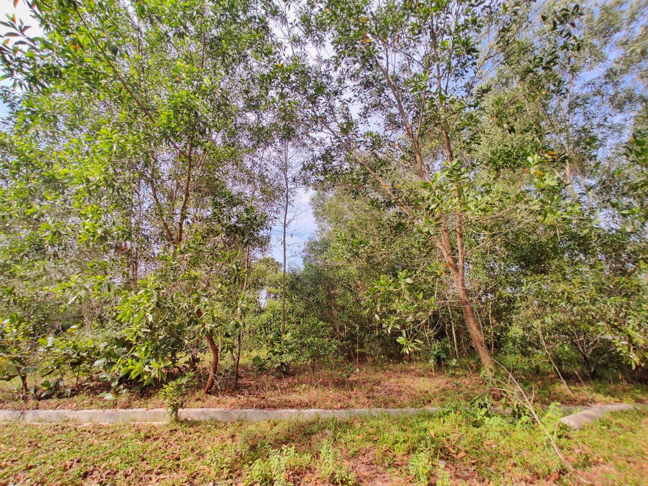 BUNGLOW LOT BUKIT DAMAR CYBERJAYA INDIVIDUAL TITLE - photo 2