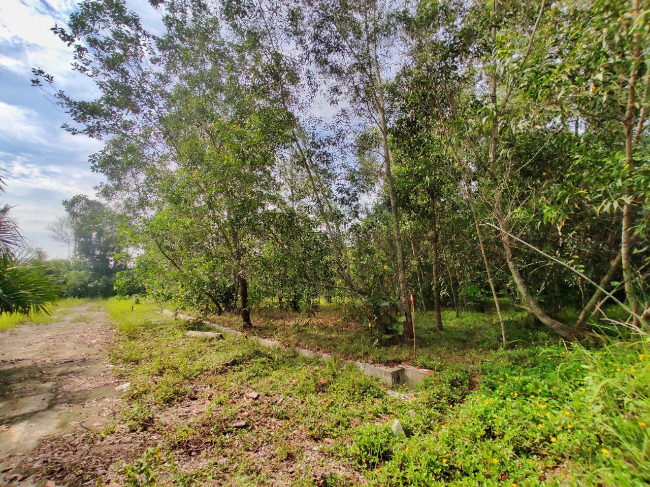 BUNGLOW LOT BUKIT DAMAR CYBERJAYA INDIVIDUAL TITLE - photo 10