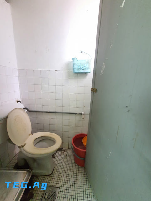 Sri Muda - photo 3