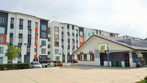 Orchis Apartment 285K - photo 1
