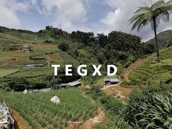 CAMERON HIGHLAND 405K 1 Acre - photo 1