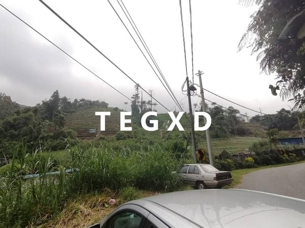 CAMERON HIGHLAND 405K 1 Acre - photo 3