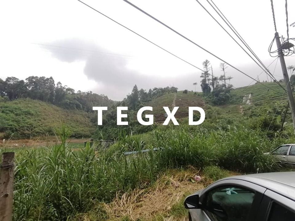 CAMERON HIGHLAND 405K 1 Acre - photo 4