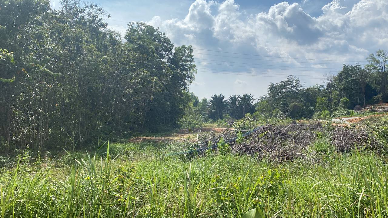 BUNGALOW LOT  Teras Jernang Bangi Near UKM - photo 2