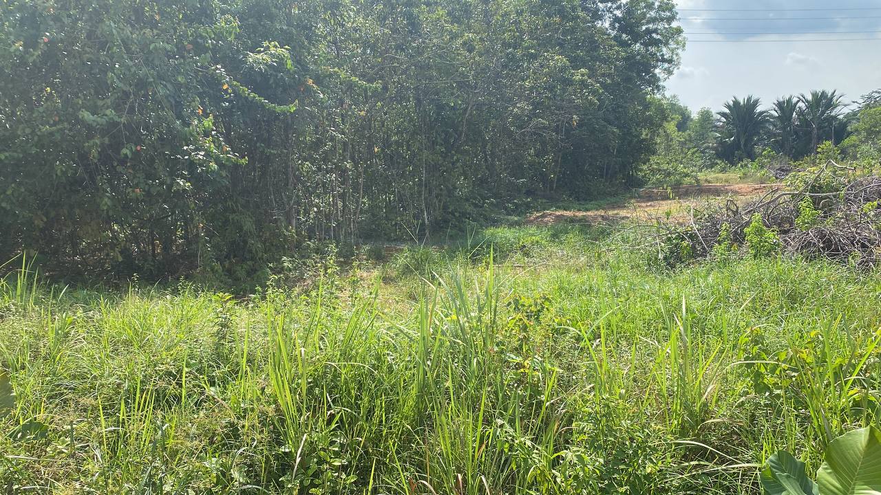 BUNGALOW LOT  Teras Jernang Bangi Near UKM - photo 3