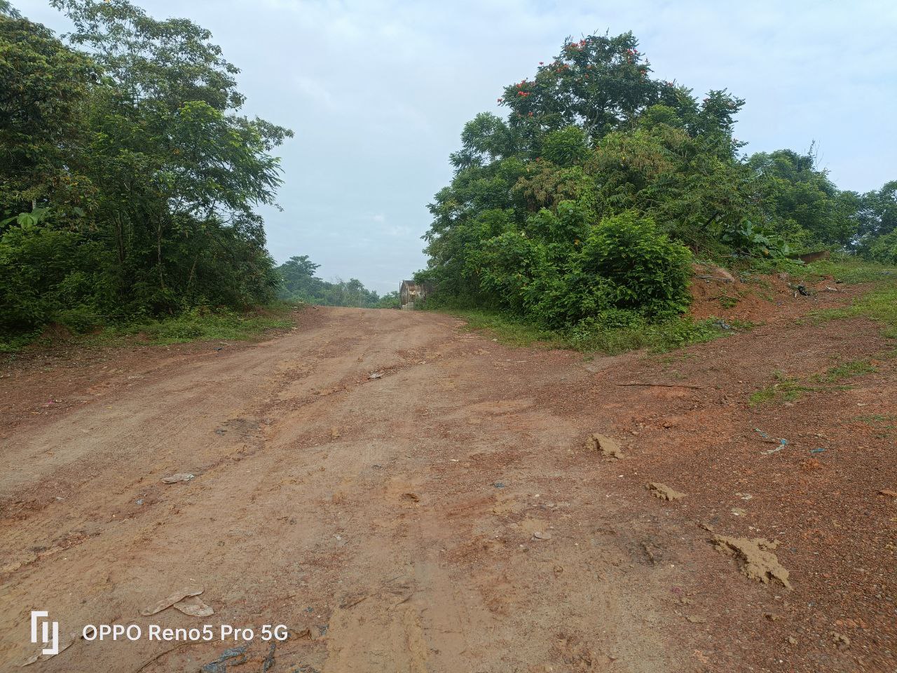 Tanah ekar status pertanian rezab melayu di NILAI, - photo 7