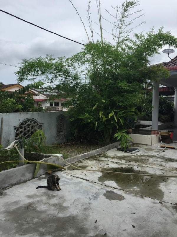Rumah Banglo Desa Tronoh Jaya, Perak - photo 3
