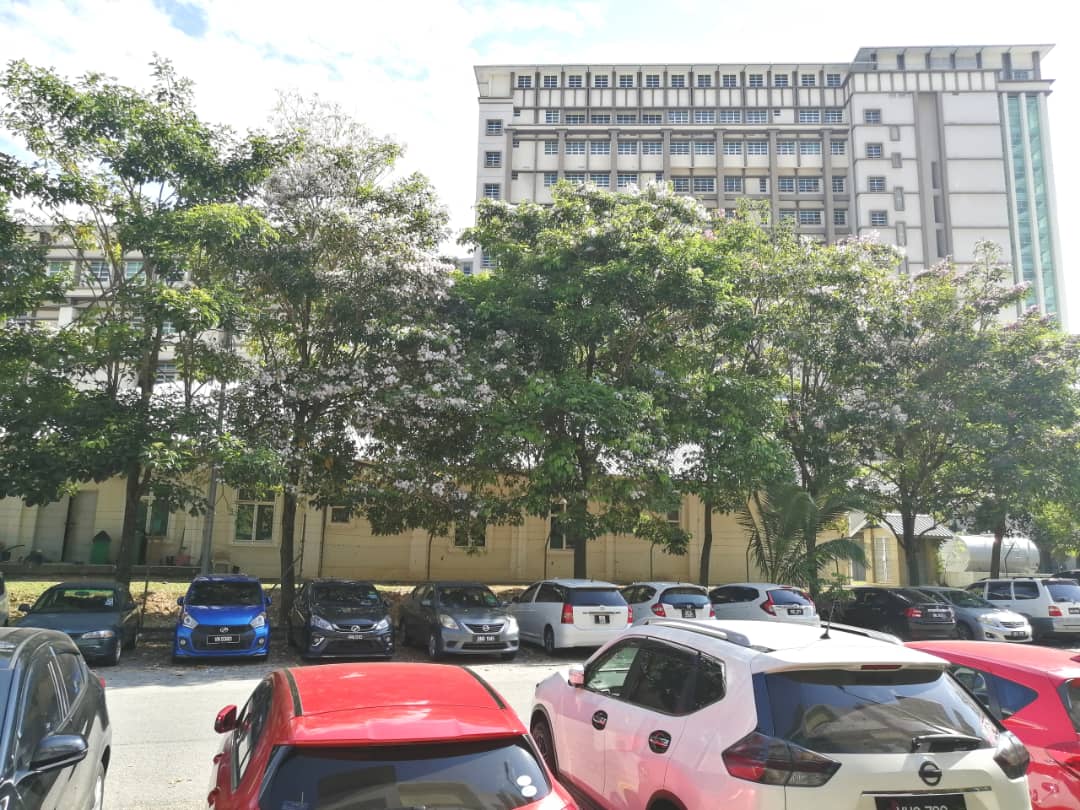 3sty Shoplot Seksyen 7 Tenanted Shah Alam