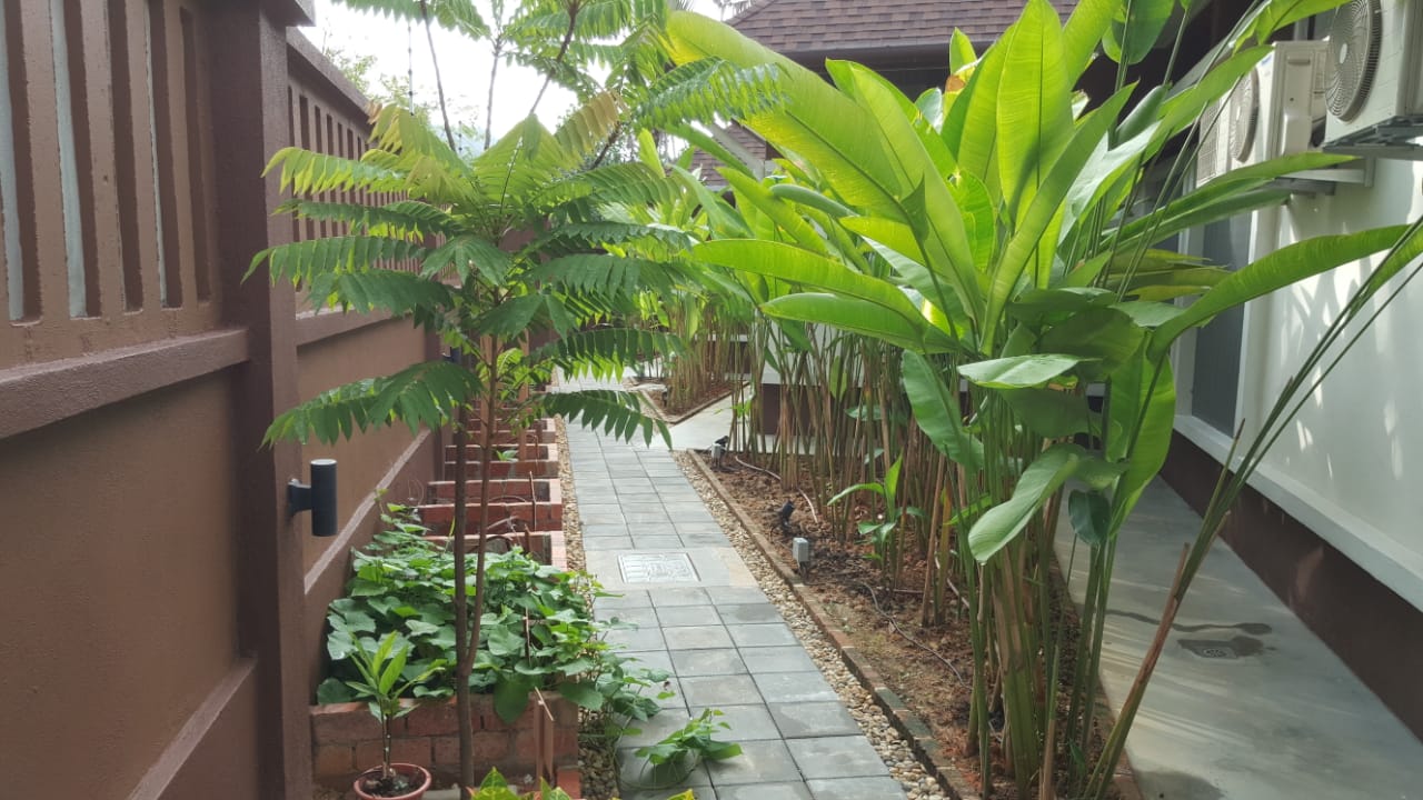 Single Storey With Swimming Pool Shah Alam - photo 8