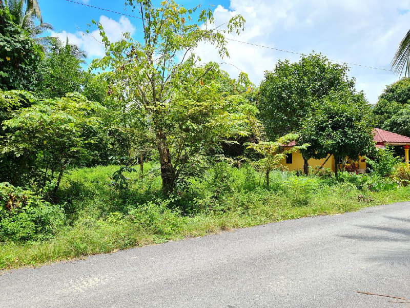 Tanah Lot Kediaman Freehold - photo 5