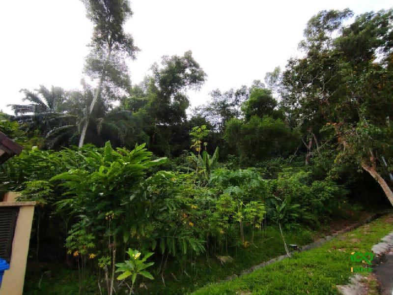 Bungalow Land Seksyen 7 Shah Alam - photo 3