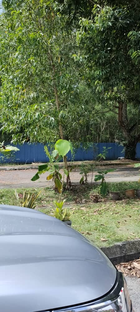 Berjaya Park Kota Kemuning Freehold Facing Open - photo 9