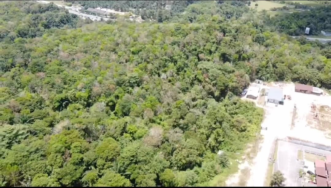 Tanah Pertanian Zooning Kediaman - photo 4