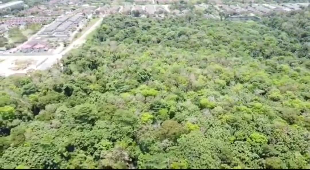 Tanah Pertanian Zooning Kediaman - photo 12