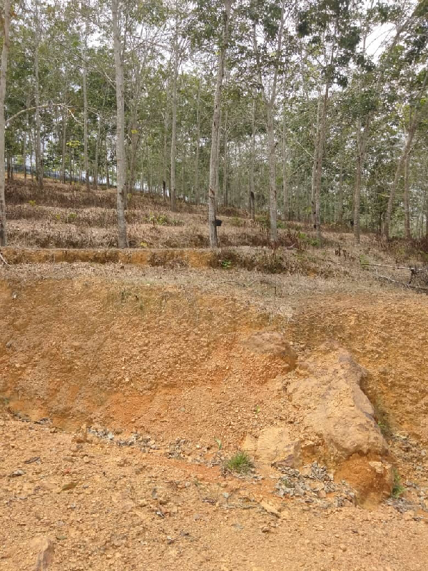 TANAH KEBUN GETAH SEMPADAN BENTONG - N9 - photo 4
