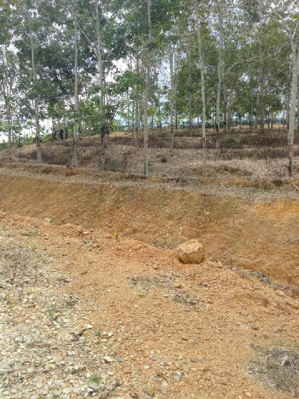 TANAH KEBUN GETAH SEMPADAN BENTONG - N9 - photo 7