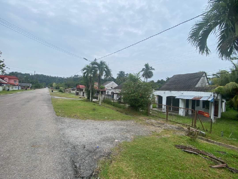 Bungalow Setingkat Freehold - photo 4