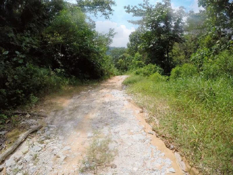 TANAH SESUAI BUAT PERUMAHAN  - photo 7