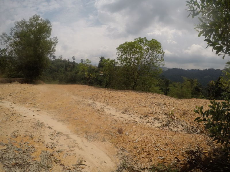 TANAH SESUAI BUAT PERUMAHAN  - photo 9