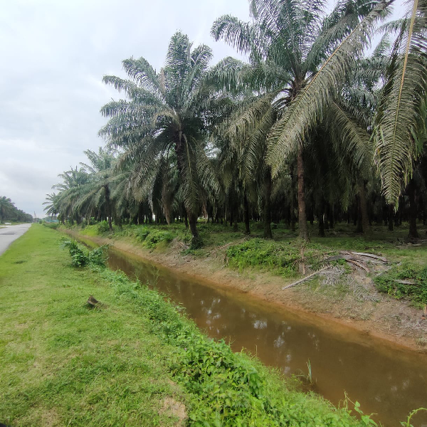 TANAH UNTUK DIMAJUKAN - photo 2