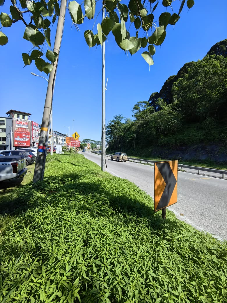 Taman Setia Jaya - photo 4