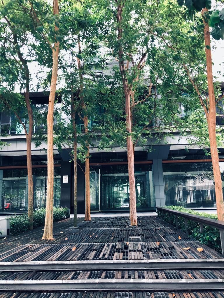D7 Sentul East, Sentul Office Unit For Rent - photo 8
