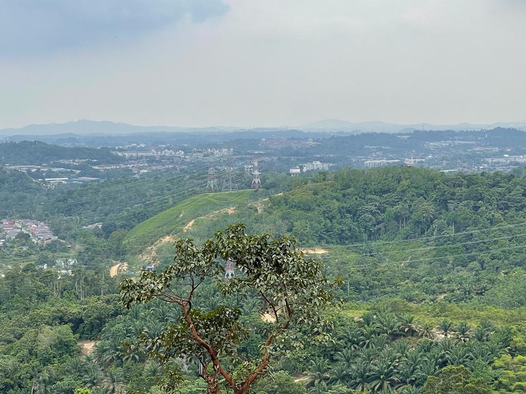 Ampangan, Seremban Agriculture Land For Sale - photo 3