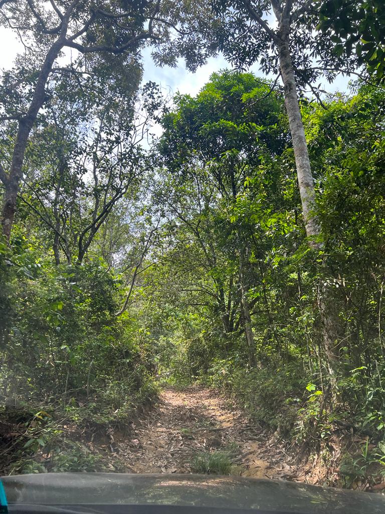Ampangan, Seremban Agriculture Land For Sale - photo 4